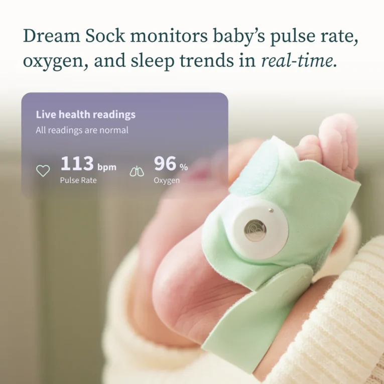 DreamSock-2
